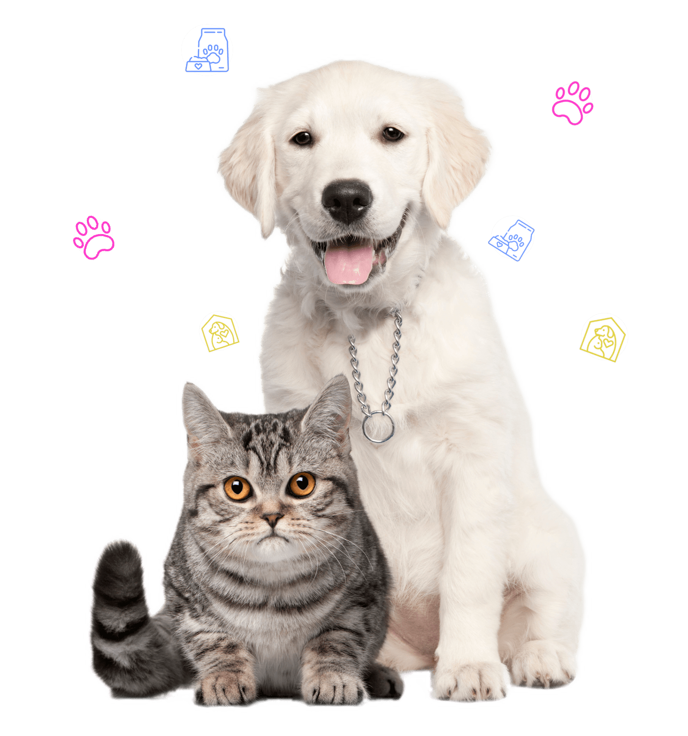 petglory